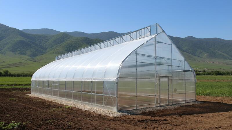 Митлайдера теплица