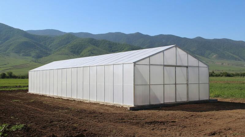 Теплица для саженцев